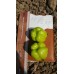 Biber Tohumu Kandil Dolma - 1 Kg