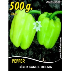 Biber Tohumu Kandil Dolma - 500 G