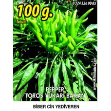 Biber Tohumu Toros Yukarı Bakan Yeşil Süs - 100G