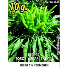 Biber Tohumu Toros Yukarı Bakan Yeşil Süs - 10G  (~ Takribi 800 Tohum)
