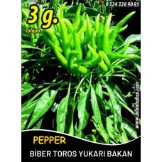 Biber Tohumu Toros Yukarı Bakan Yeşil Süs - 3 G (~ Takribi 240 Tohum) Biber Tohumu Toros Yukarı Bakan Yeşil Süs - 3 G (~ Takribi 240 Tohum)
