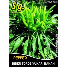 Biber Tohumu Toros Yukarı Bakan Yeşil Süs - 5 G (~ Takribi 400 Tohum) Biber Tohumu Toros Yukarı Bakan Yeşil Süs - 5 G (~ Takribi 400 Tohum)