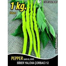 Biber Tohumu Yalova Çorbacı 12 - 1 Kg.