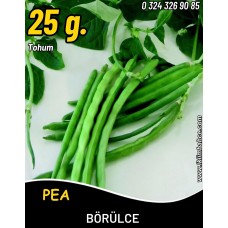Börülce Tohumu Karagöz 86 - 25 G.