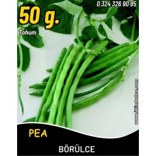 Börülce Tohumu Karagöz 86 - 50G Börülce Tohumu Karagöz 86 - 50G