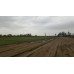 Çim Tohumu Karışımı - Spot - 4 M - 4 Lü Karışım  10 Kg