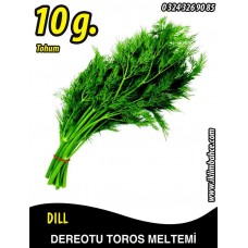 Dereotu Tohumu Toros Meltemi - 10 G (~ Takribi 2500 Tohum)