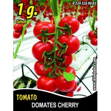 Domates Tohumu Cherry - 1 G (~ Takribi 150 Tohum)