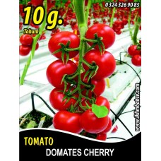 Domates Tohumu Cherry - 10g (~ Takribi 1500 Tohum)