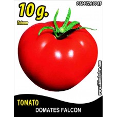 Domates Tohumu Falcon - 10 G. (~ Takribi 1500 Tohum)
