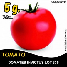 Domates Tohumu İnvictus Lot 335 Pk 5 G. (~ Takribi 750 Tohum)
