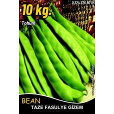 Fasulye Tohumu Gizem ( Oturak ) - 10 Kg