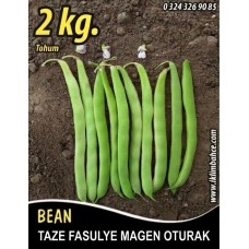 Fasulye Tohumu Magen  ( Oturak ) - 2 Kg