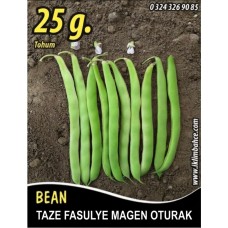Fasulye Tohumu Magen  ( Oturak ) - 25 G