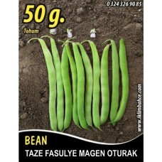 Fasulye Tohumu Magen ( Oturak ) - 50 G (~ Takribi 150 Tohum) Fasulye Tohumu Magen ( Oturak ) - 50 G (~ Takribi 150 Tohum)