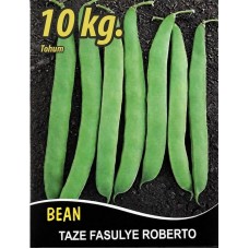 Fasulye Tohumu Roberto ( Oturak ) - 10 Kg