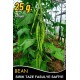 Fasulye Tohumu Safiye  ( Sırık )  -25 Gr  (~ Takribi 50 Tohum)
