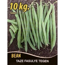 Fasulye Tohumu Tegen  ( Oturak ) - 10 Kg