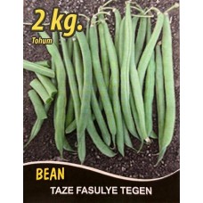 Fasulye Tohumu Tegen  ( Oturak ) - 2 Kg