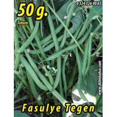 Fasulye Tohumu Tegen  ( Oturak ) - 50 G  (~ Takribi 100 Tohum)