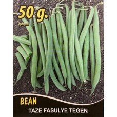 Fasulye Tohumu Tegen  ( Oturak ) - 50 G  (~ Takribi 100 Tohum)