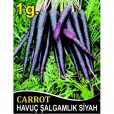 Havuç Tohumu Şalgamlık Siyah - 1 G (~ Takribi 400 Tohum) Havuç Tohumu Şalgamlık Siyah - 1 G (~ Takribi 400 Tohum)