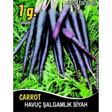 Havuç Tohumu Şalgamlık Siyah - 1 G (~ Takribi 400 Tohum) Havuç Tohumu Şalgamlık Siyah - 1 G (~ Takribi 400 Tohum)