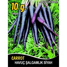 Havuç Tohumu Şalgamlık Siyah - 10 G (~ Takribi 4000 Tohum) Havuç Tohumu Şalgamlık Siyah - 10 G (~ Takribi 4000 Tohum)