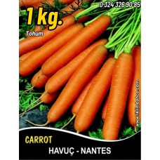 Havuç Tohumu Scarlet Nantes - 1 Kg