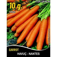 Havuç Tohumu Scarlet Nantes - 10 G (~ Takribi 4000 Tohum) Havuç Tohumu Scarlet Nantes - 10 G (~ Takribi 4000 Tohum)