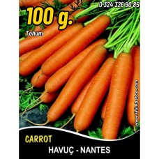 Havuç Tohumu Scarlet Nantes - 100G