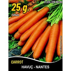 Havuç Tohumu Scarlet Nantes - 25 G. (~ Takribi 10000 Tohum)