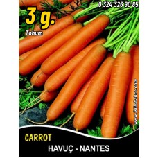 Havuç Tohumu Scarlet Nantes - 3 G (~ Takribi 1200 Tohum) Havuç Tohumu Scarlet Nantes - 3 G (~ Takribi 1200 Tohum)