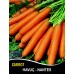 Havuç Tohumu Scarlet Nantes - 500G Havuç Tohumu Scarlet Nantes - 500G