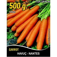 Havuç Tohumu Scarlet Nantes - 500G Havuç Tohumu Scarlet Nantes - 500G