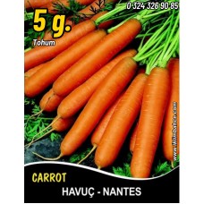 Havuç Tohumu Scarlet Nantes Pk 5 G. (~ Takribi 2000 Tohum)