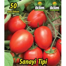 HİBRİT SANAYİLİK DOMATES TOHUMU - 50 ADET TOHUMLUK HİBRİT SANAYİLİK DOMATES TOHUMU - 50 ADET TOHUMLUK