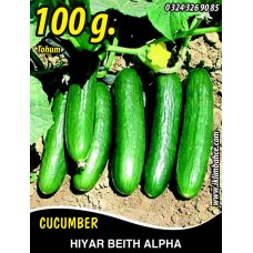 Hıyar Tohumu Salatalık Beith Alpha - 100 G