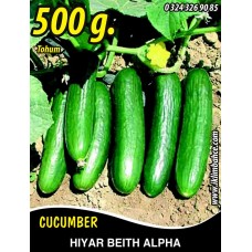 Hıyar Tohumu Salatalık Beith Alpha - 500 G