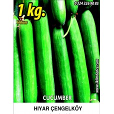 Hıyar Tohumu Salatalık Çengelköy - 1 Kg