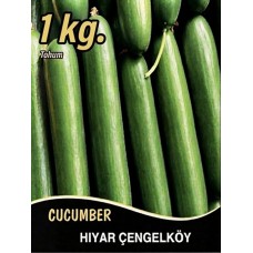 Hıyar Tohumu Salatalık Çengelköy - 1 Kg