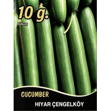 Hıyar Tohumu Salatalık Çengelköy - 10 G (~ Takribi 200 Tohum)
