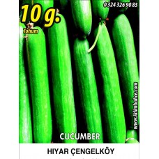 Hıyar Tohumu Salatalık Çengelköy - 10 G (~ Takribi 200 Tohum)