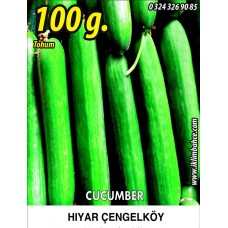 Hıyar Tohumu Salatalık Çengelköy - 100G