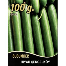 Hıyar Tohumu Salatalık Çengelköy - 100G
