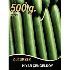 Hıyar Tohumu Salatalık Çengelköy - 500G