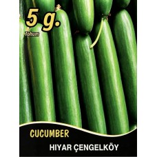 Hıyar Tohumu Salatalık Çengelköy Pk 5 G.  (~ Takribi 100 Tohum)