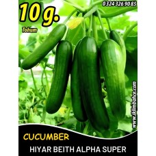 Hıyar Tohumu Salatalık Süper Beith Alpha - 10 G (~ Takribi 200 Tohum) Hıyar Tohumu Salatalık Süper Beith Alpha - 10 G (~ Takribi 200 Tohum)