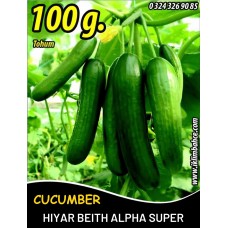 Hıyar Tohumu Salatalık Süper Beith Alpha - 100 G Hıyar Tohumu Salatalık Süper Beith Alpha - 100 G