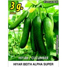 Hıyar Tohumu Salatalık Süper Beith Alpha - 3 G  (~ Takribi 60 Tohum)